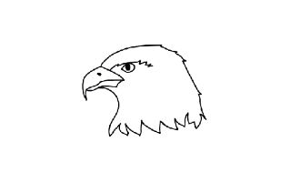 Hawk