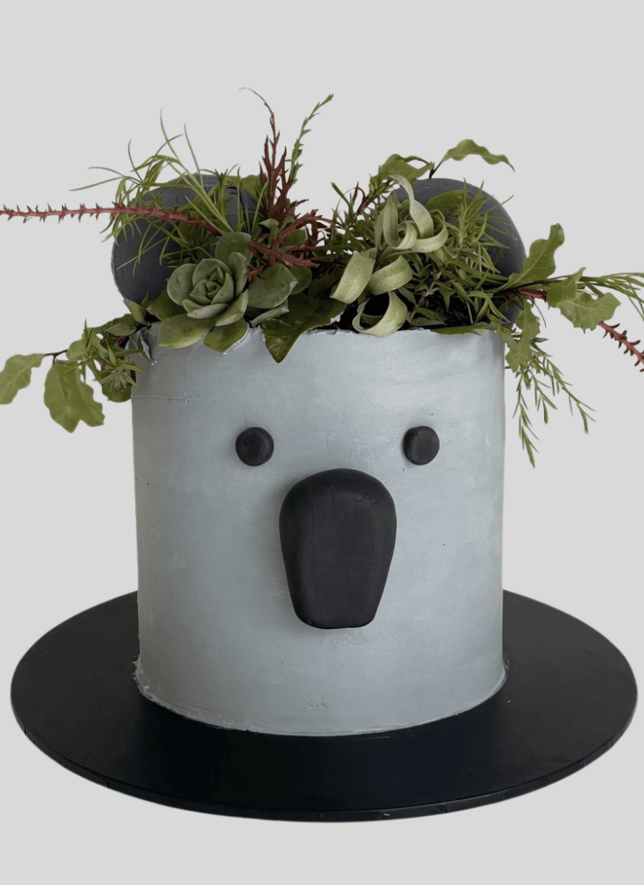 Charming Koala Cake