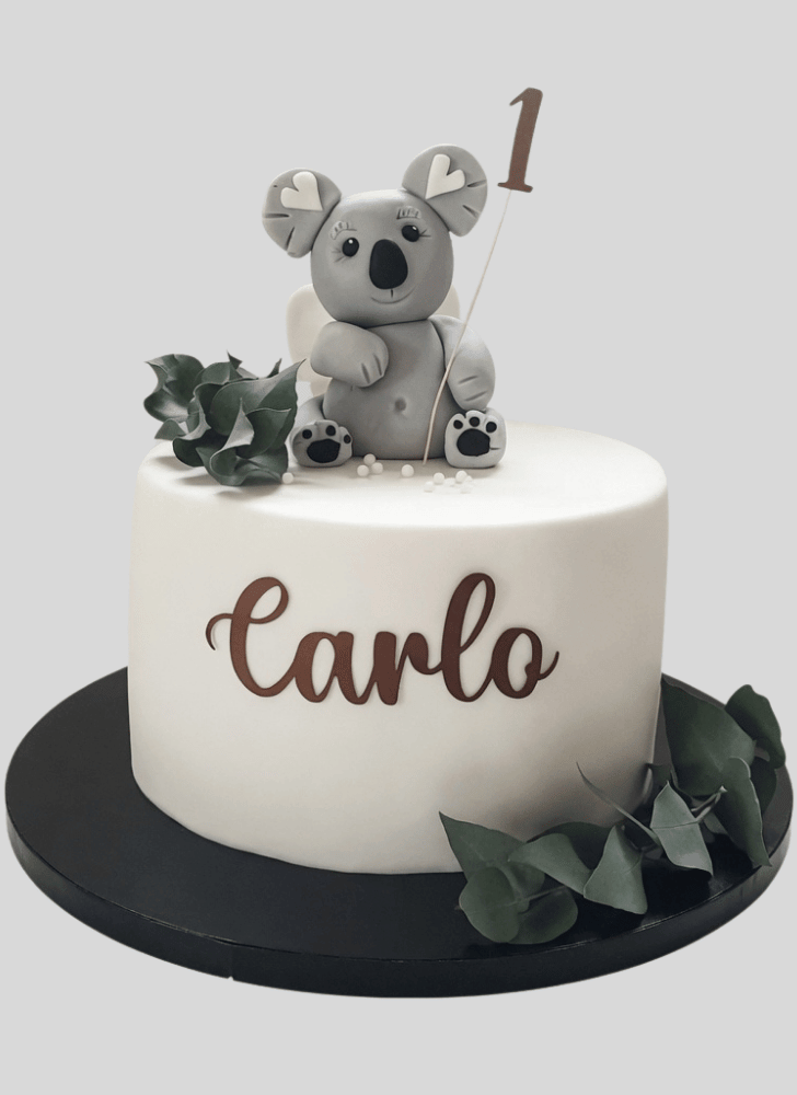 Classy Koala Cake