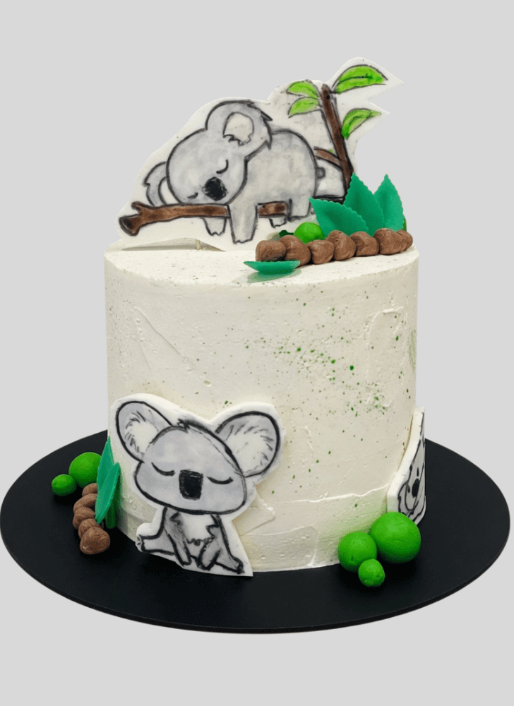 Handsome Koala Cake