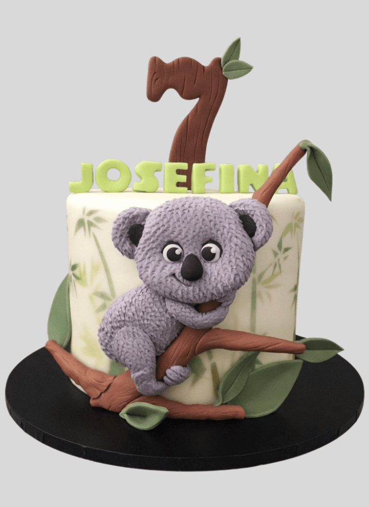 Magnetic Koala Cake