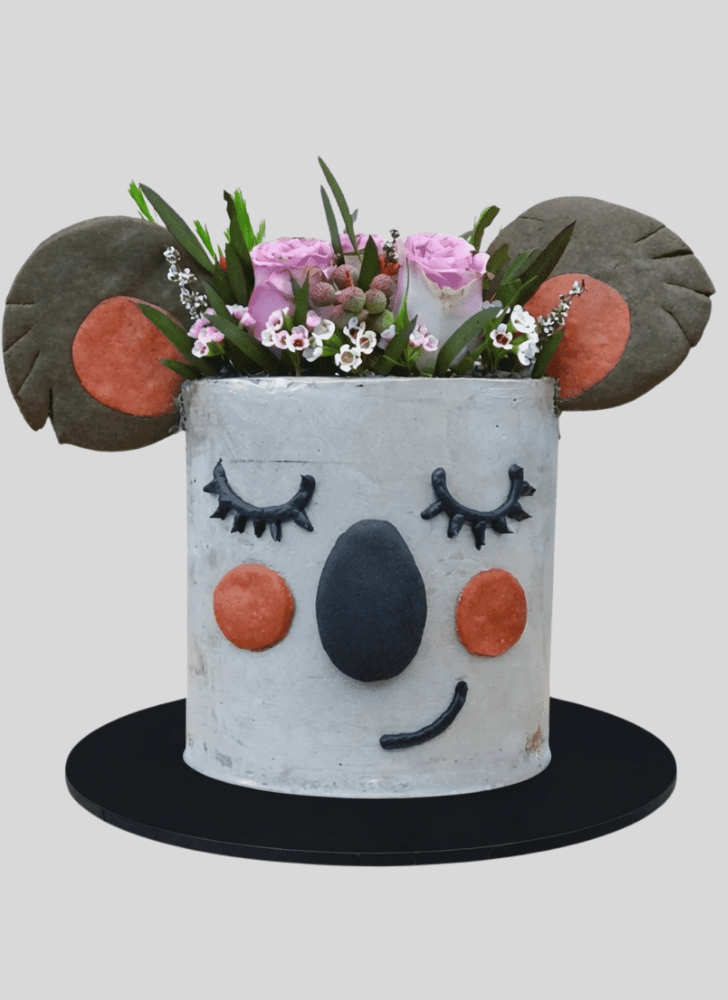 Mesmeric Koala Cake