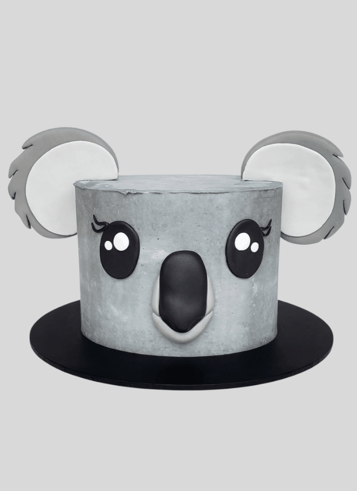 Nice Koala Cake