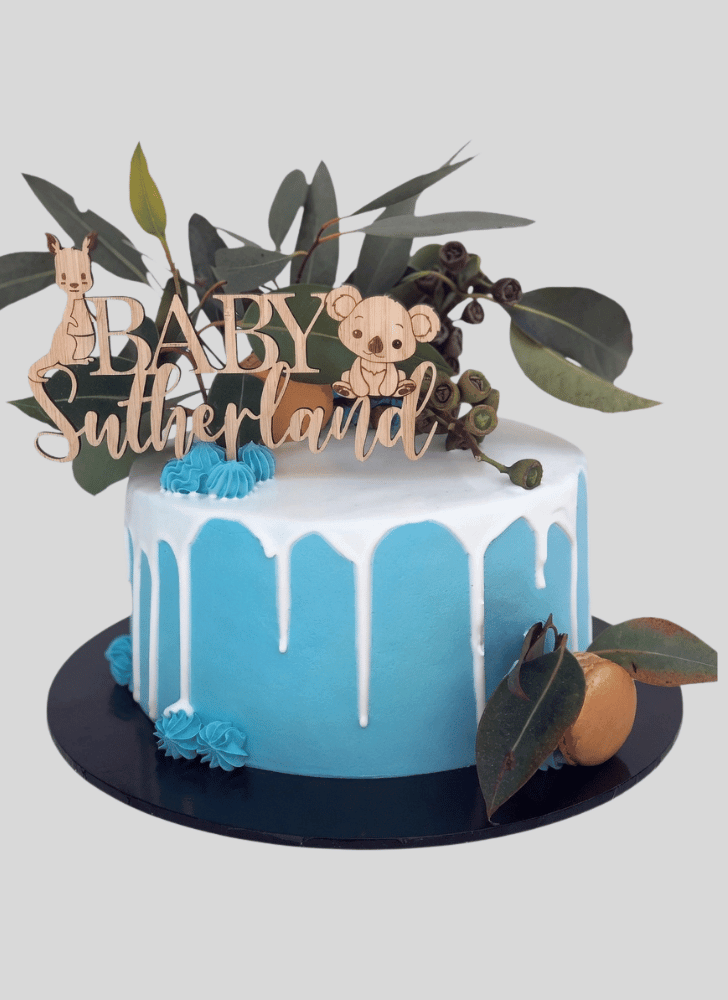 Refined Koala Cake