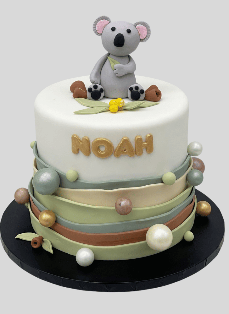 Shapely Koala Cake