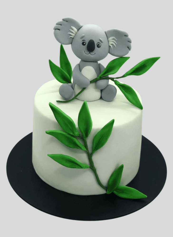 Slightly Koala Cake