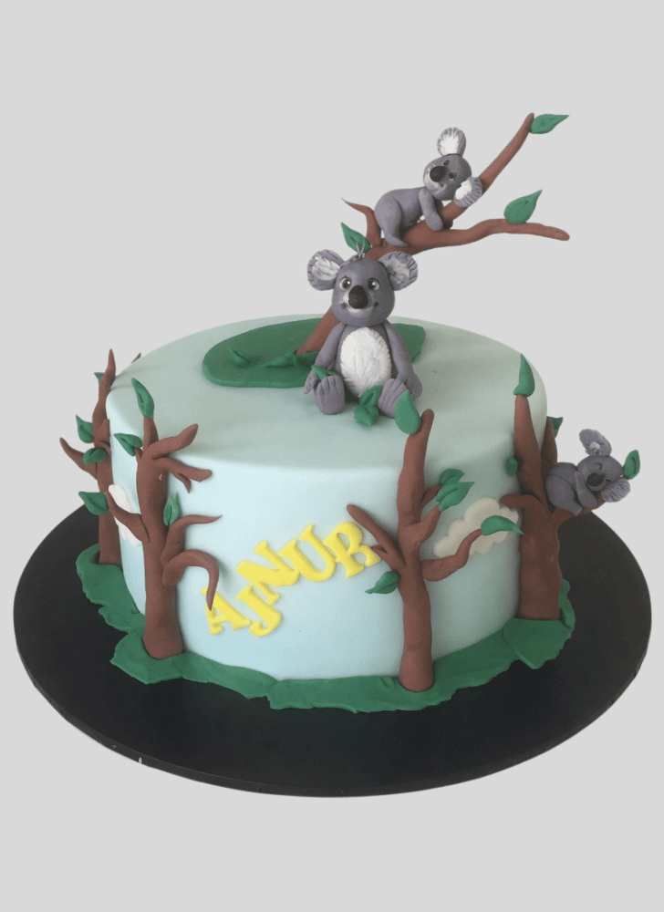 Superb Koala Cake