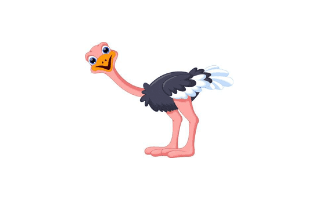 Ostrich