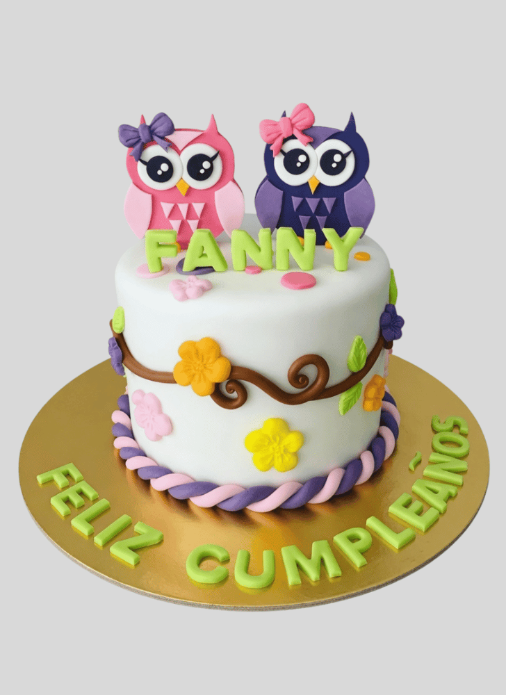 Bewitching Owl Cake