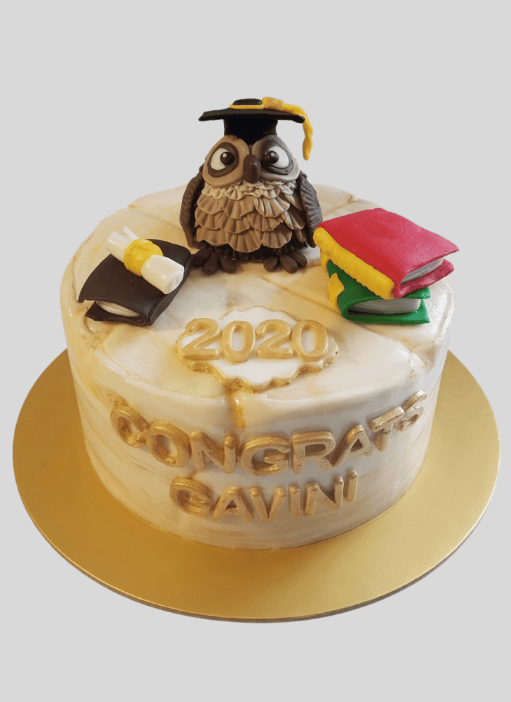 Captivating Owl Cake