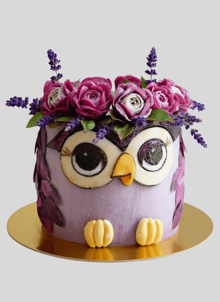 Cute Owl Cake