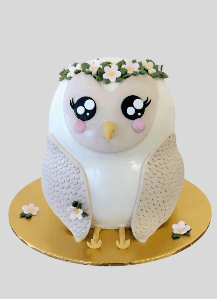 Dazzling Owl Cake