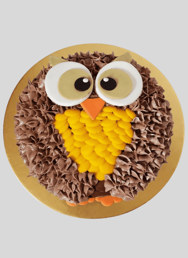 Delightful Owl Cake