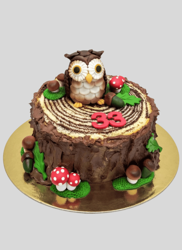 Divine Owl Cake
