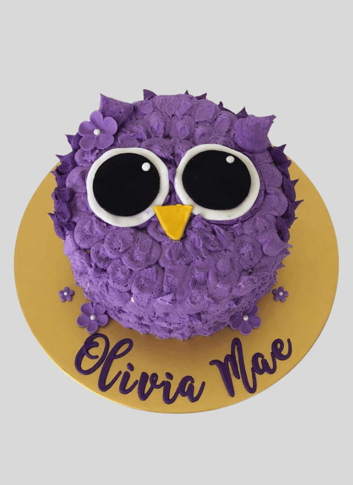 Elegant Owl Cake
