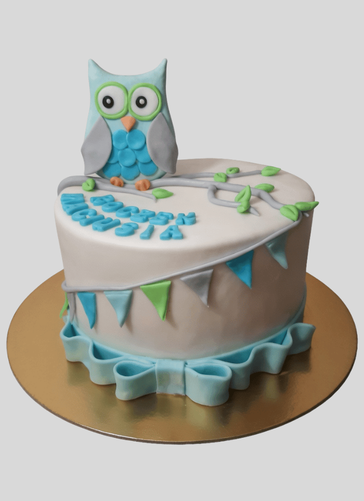 Enthralling Owl Cake