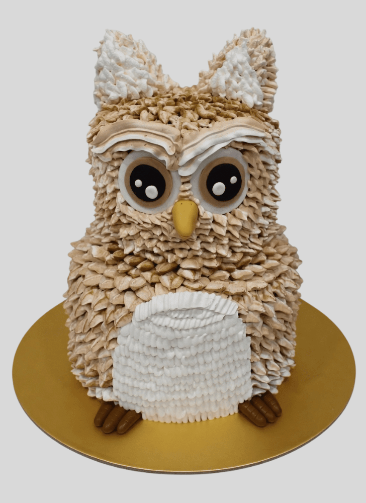 Enticing Owl Cake
