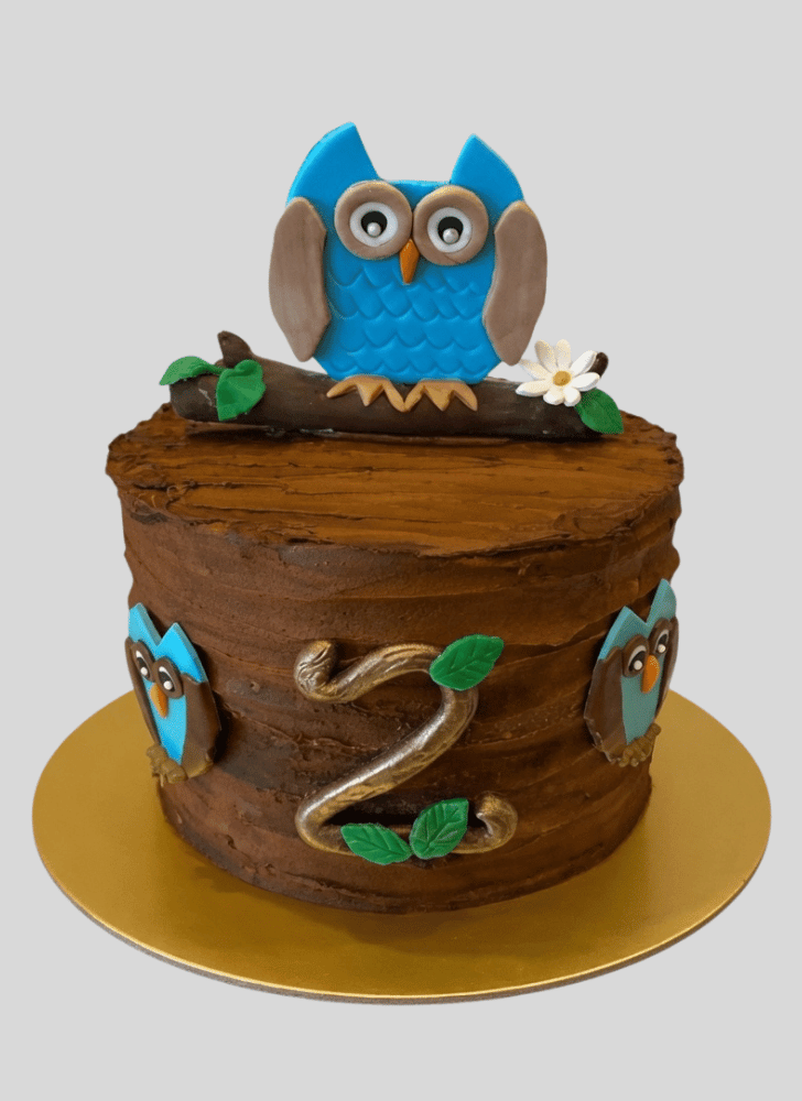 Fair Owl Cake