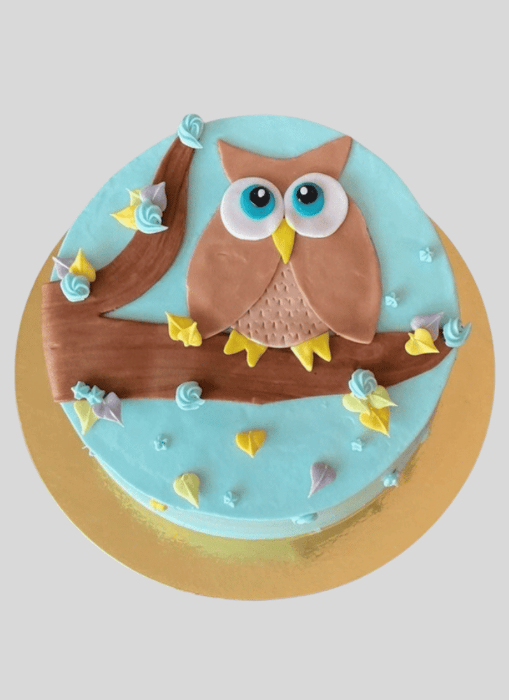 Fetching Owl Cake