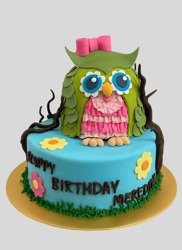 Fine Owl Cake
