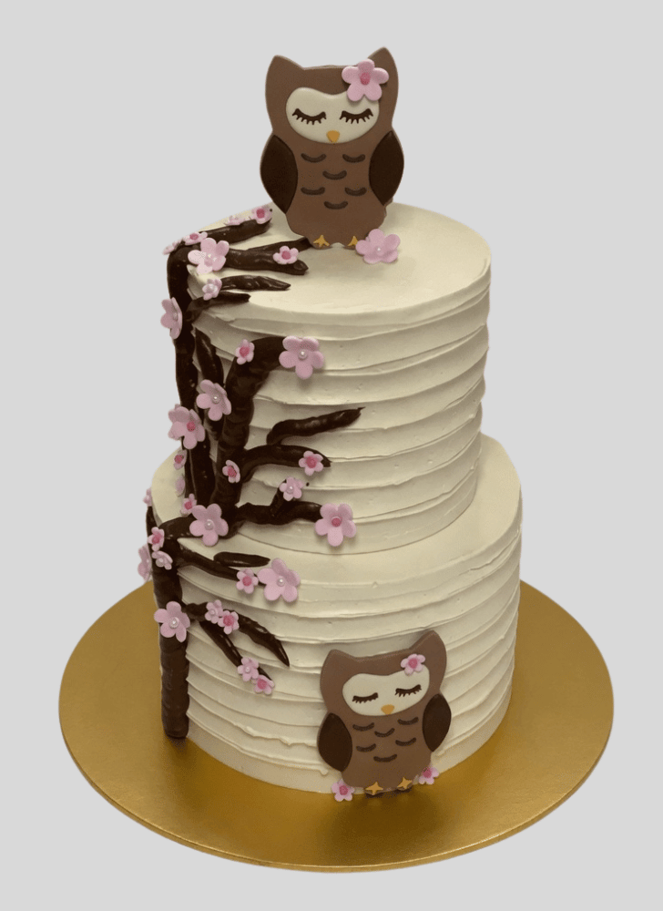 Good Looking Owl Cake