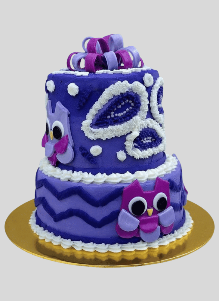 Gorgeous Owl Cake