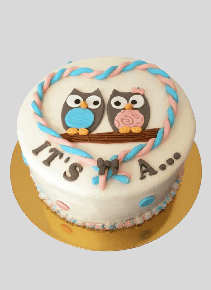 Graceful Owl Cake