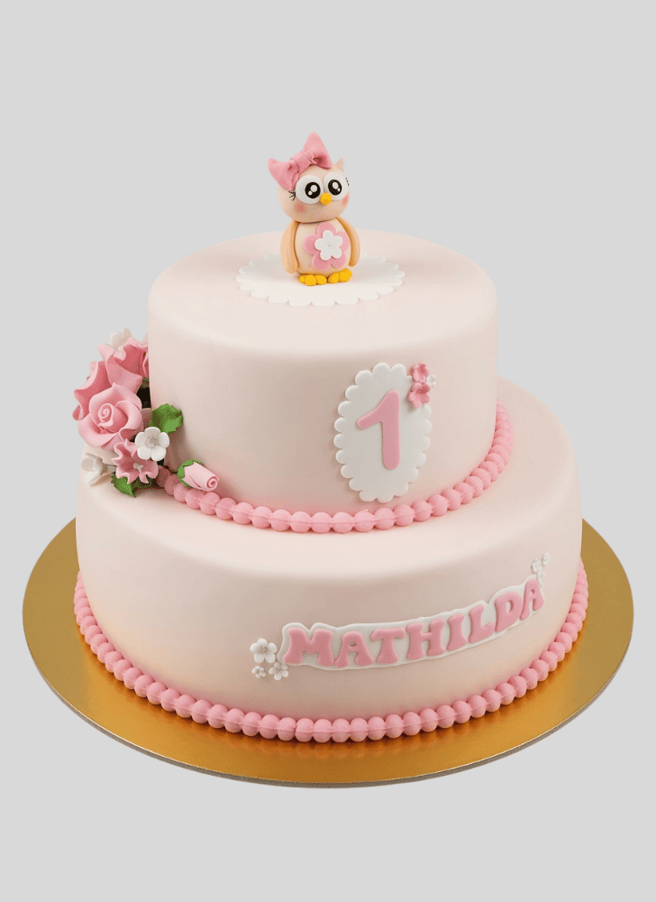 Handsome Owl Cake