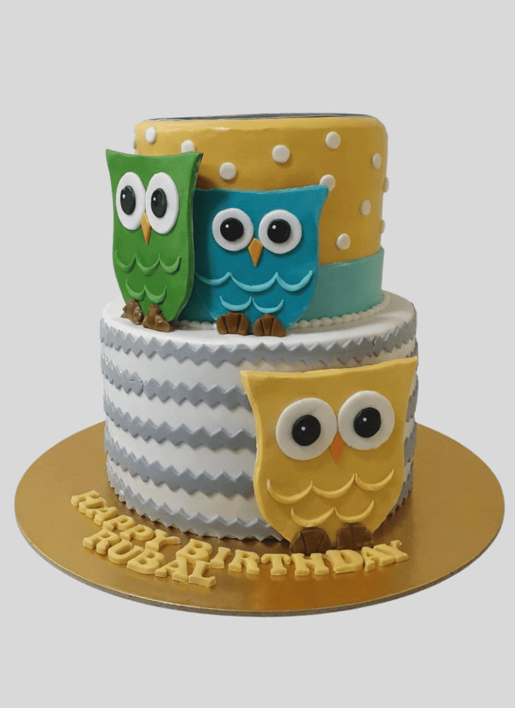 Ideal Owl Cake