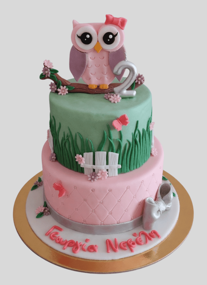 Inviting Owl Cake