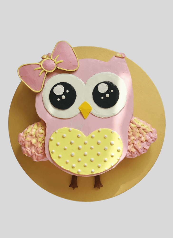 Lovely Owl Cake Design