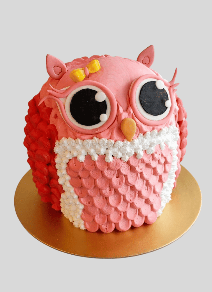 Magnetic Owl Cake