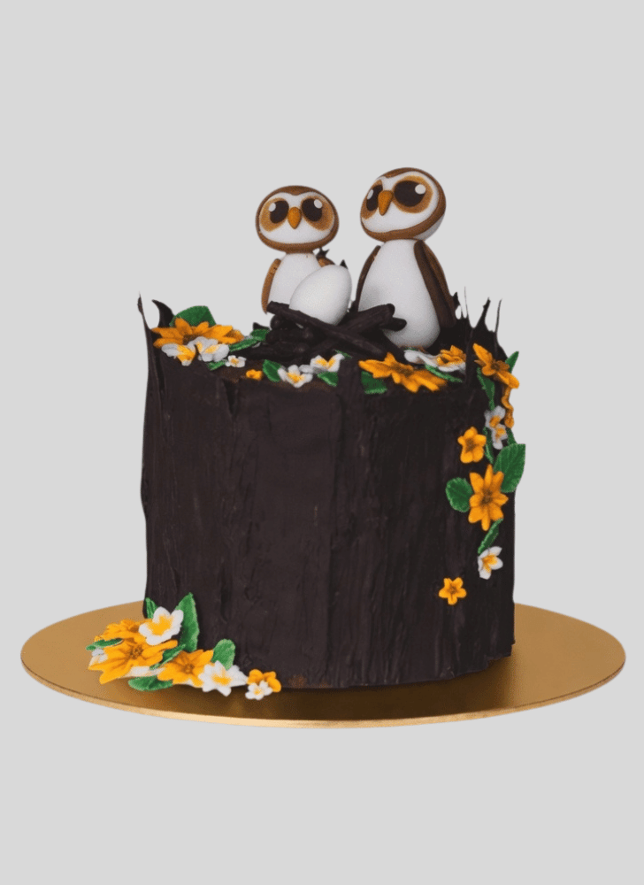 Marvelous Owl Cake