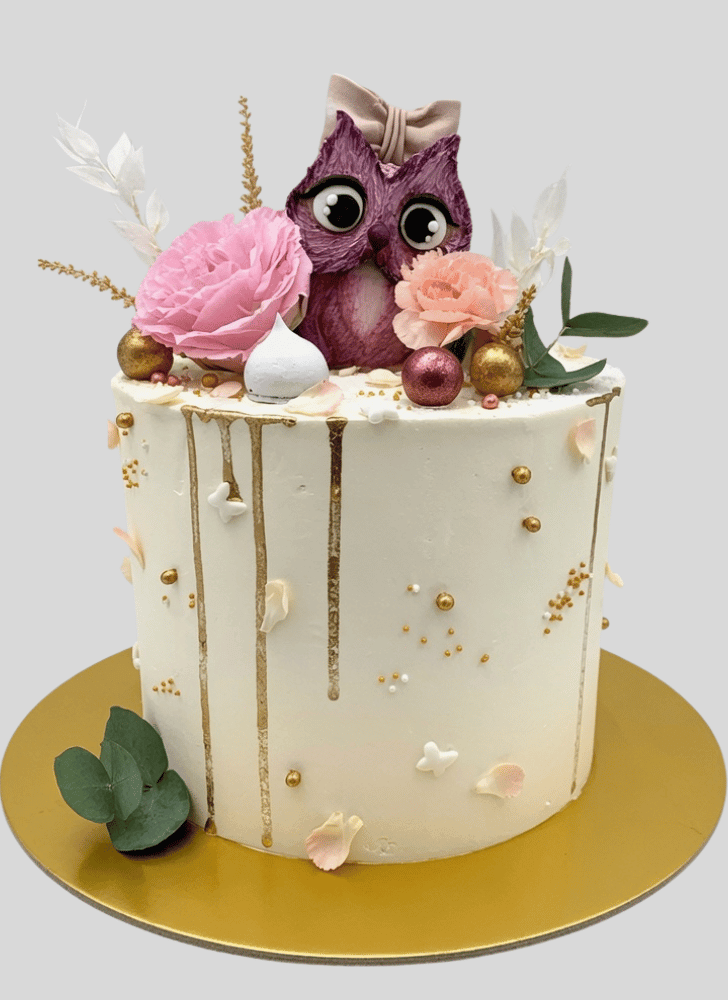 Mesmeric Owl Cake