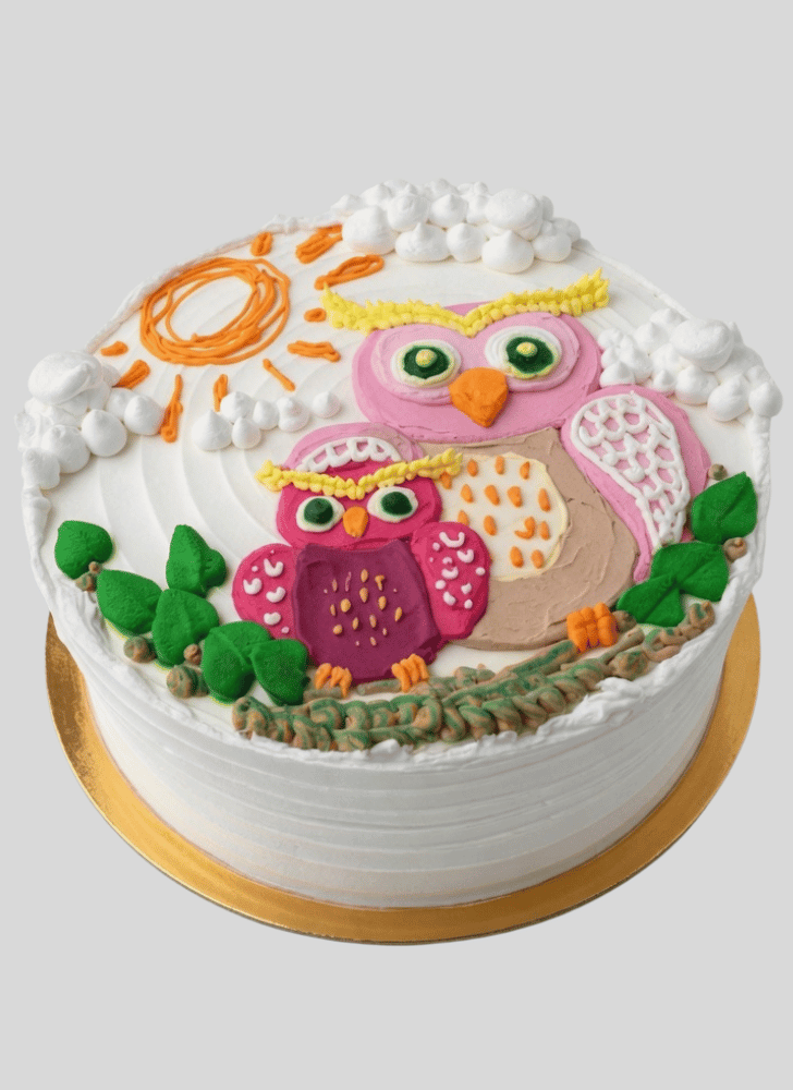 Nice Owl Cake