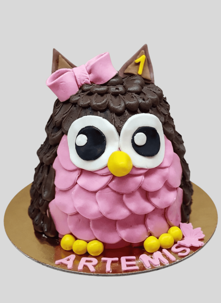 Pleasing Owl Cake