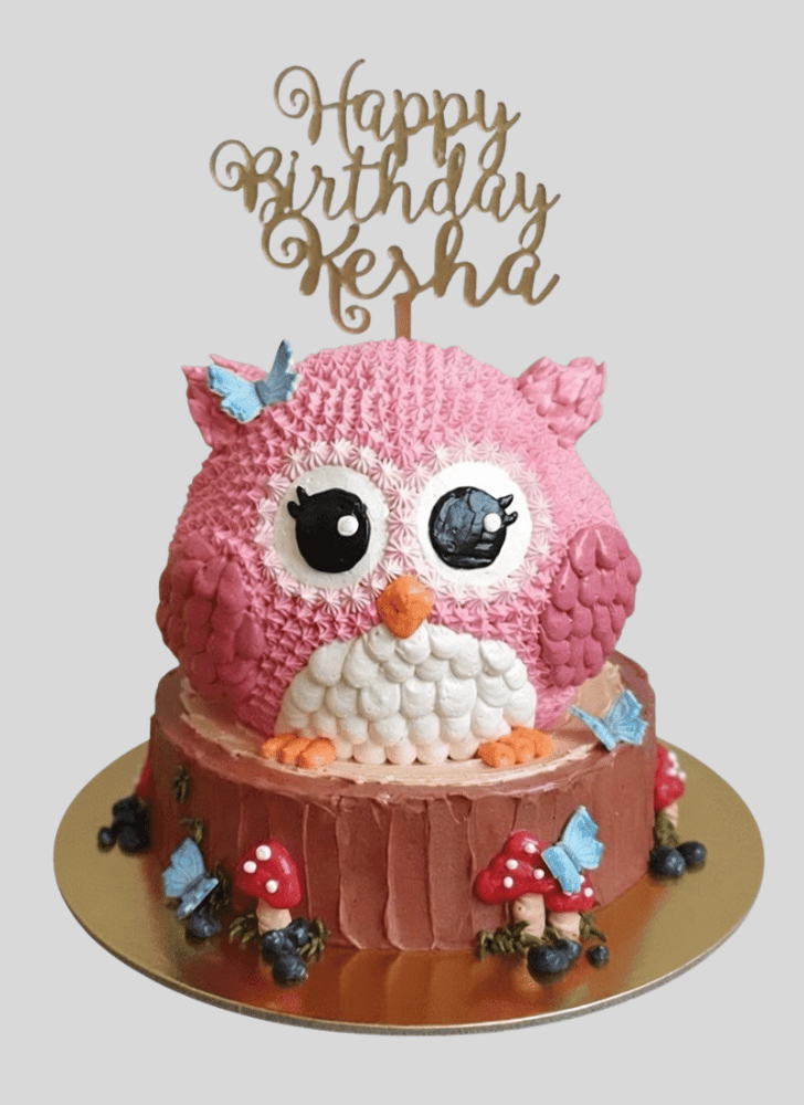Pretty Owl Cake