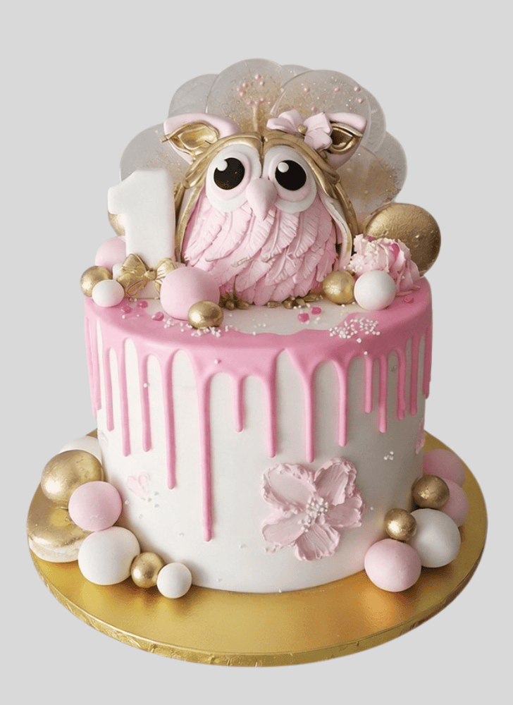 Ravishing Owl Cake
