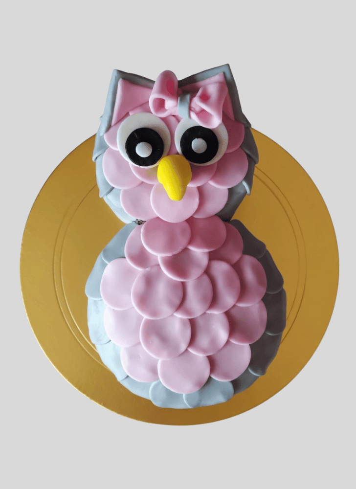 Resplendent Owl Cake