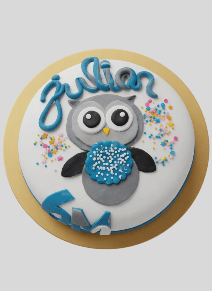 Shapely Owl Cake