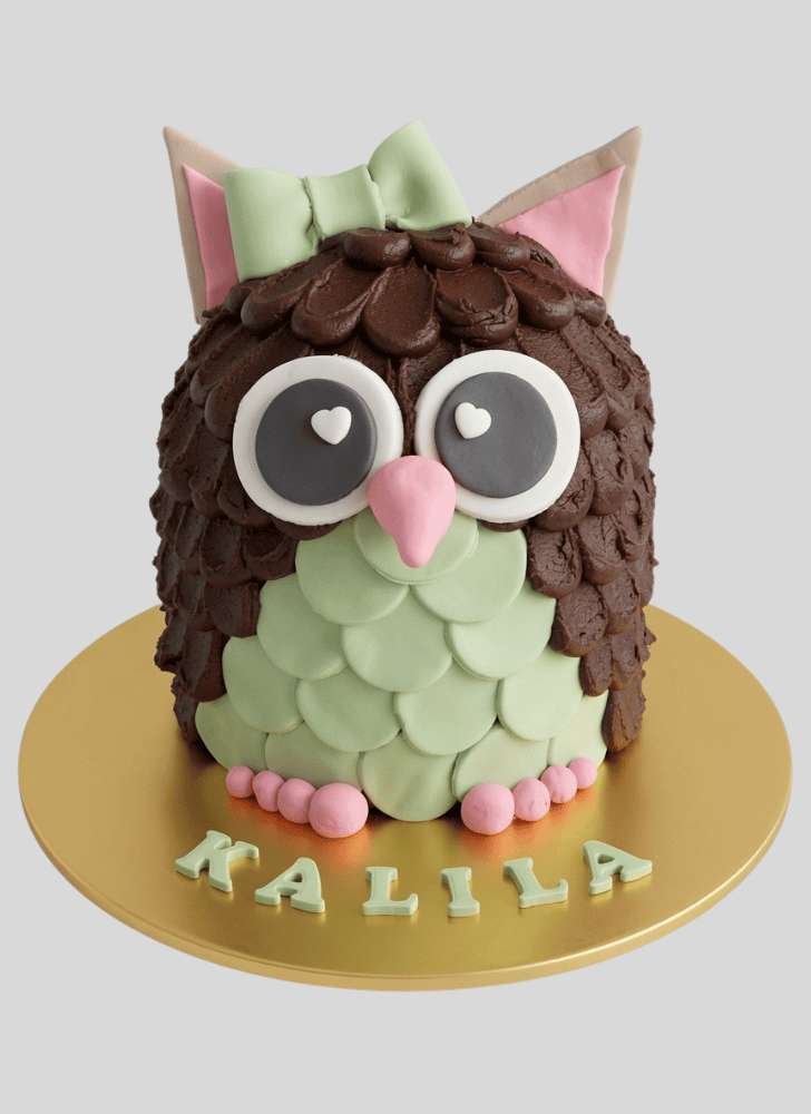 Stunning Owl Cake