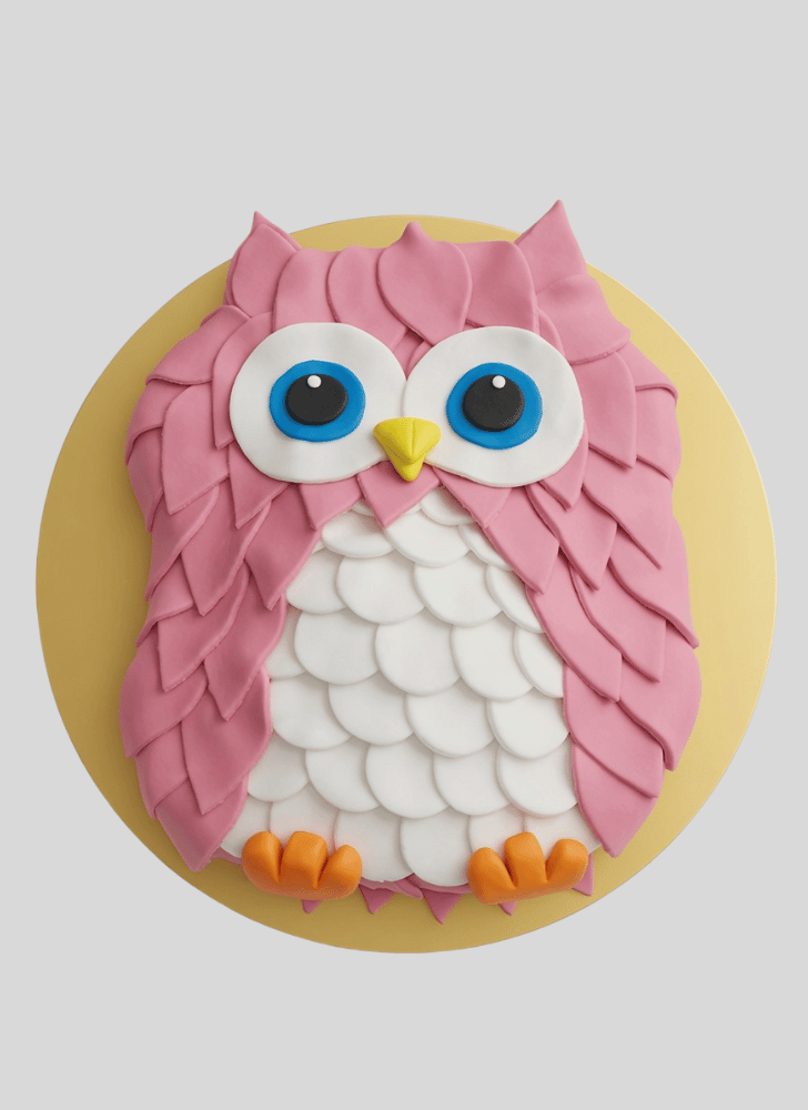Wonderful Owl Cake Design