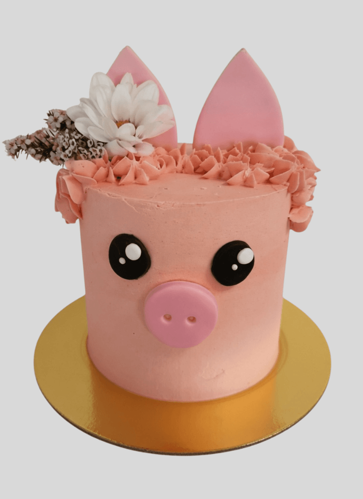 Lovely Pig Cake Design