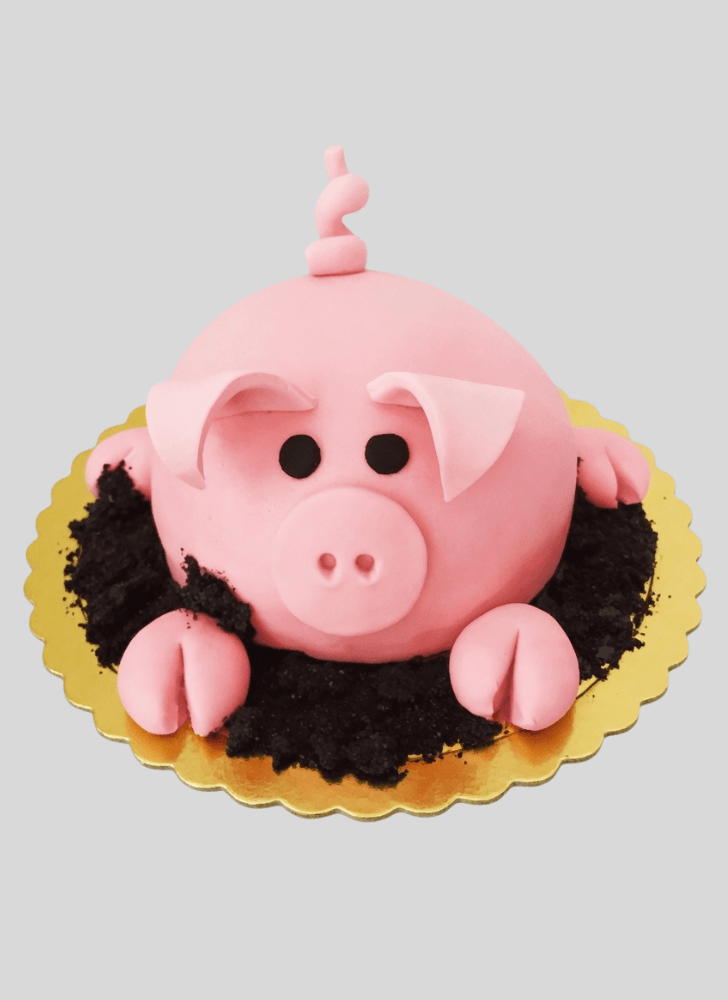 Magnetic Pig Cake