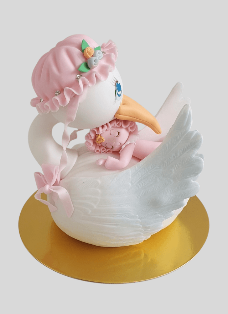 Bewitching Stork Cake