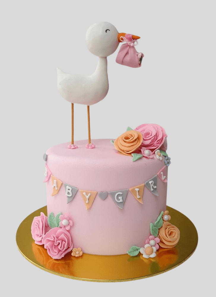 Classy Stork Cake
