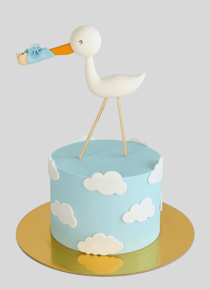Dazzling Stork Cake