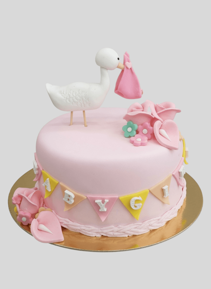 Gorgeous Stork Cake