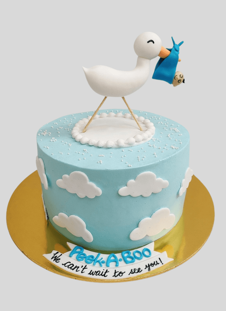 Handsome Stork Cake