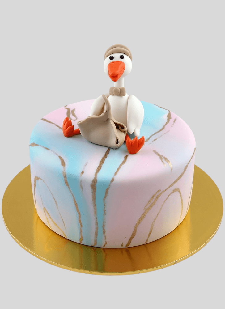 Magnetic Stork Cake